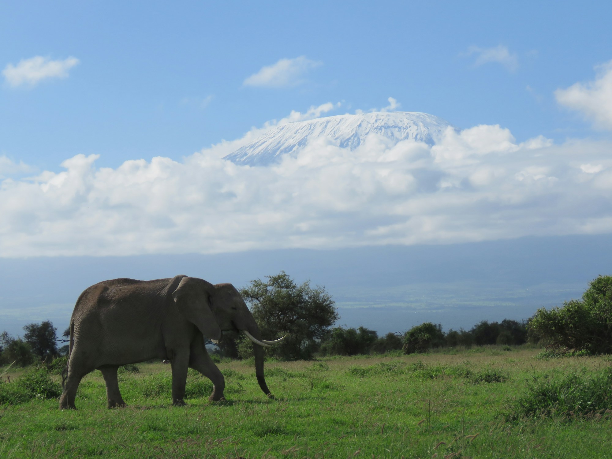 Africa