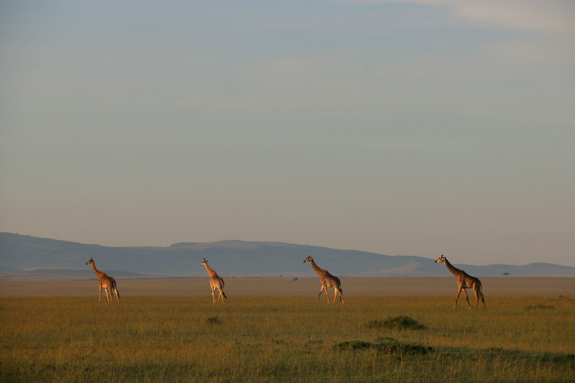 Kenya