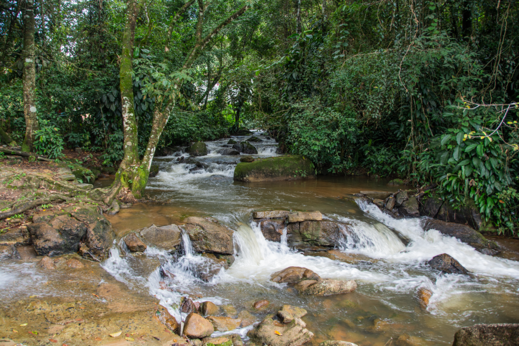 Tranquil waterfall cascading over rocks in Bonito, Brazil's dense tropical forest.