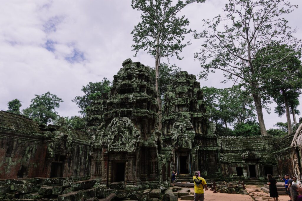 Explore the ancient ruins of Ta Prohm Temple, surrounded by lush trees in Cambodia.