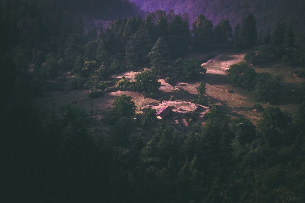 Aerial landscape photo of lush forested area in Dehradun, India, capturing the beauty of nature.