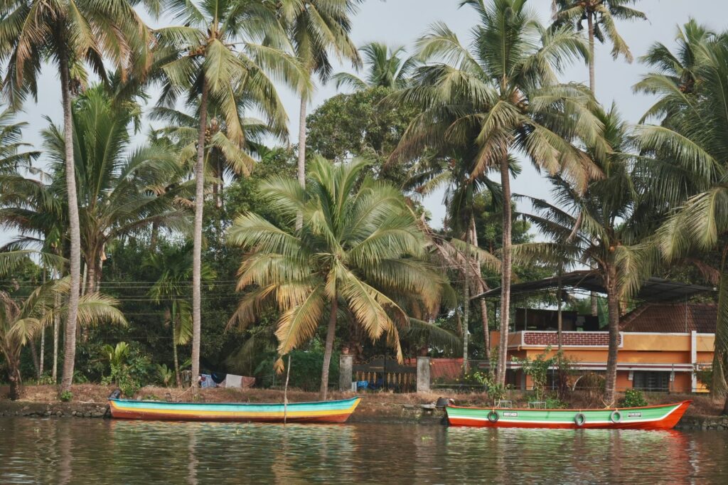 Brightly colored boats on serene Kerala backwaters lined with lush palm trees.