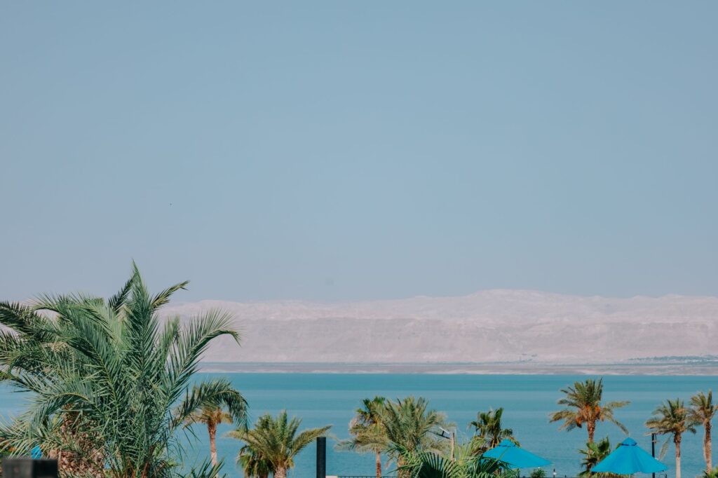 Serene tropical resort with palm trees overlooking a blue sea and mountains in the background.