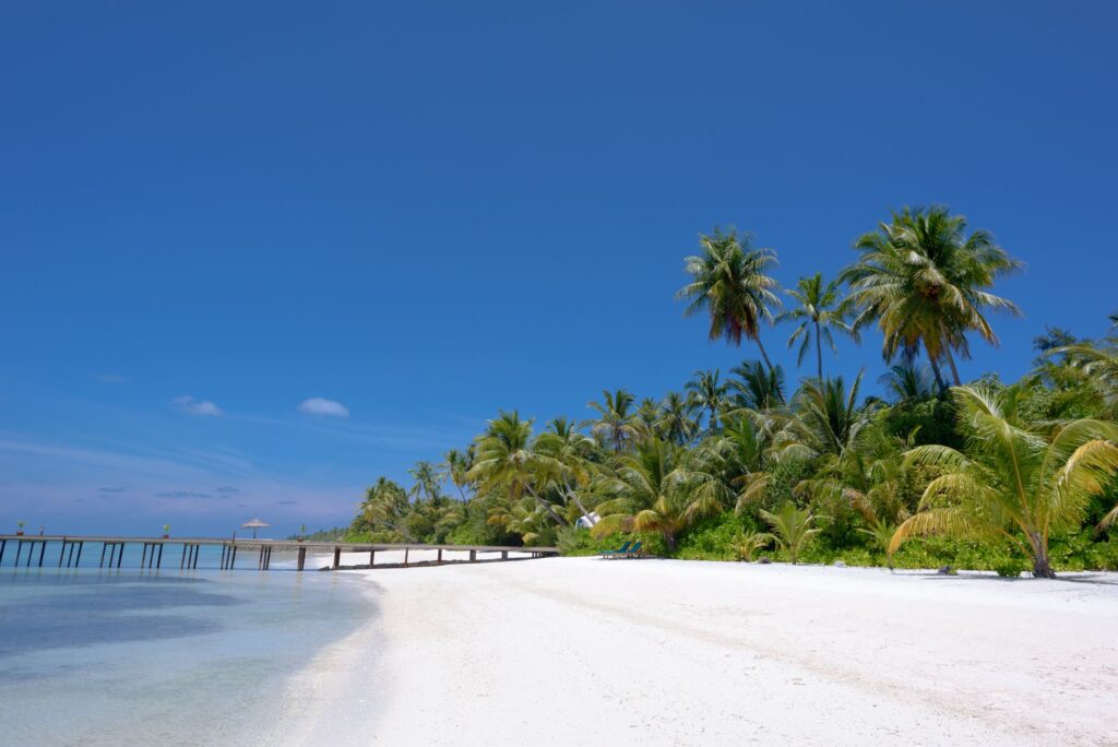 Serene white sandy beach with palm trees and clear blue ocean in the Maldives.