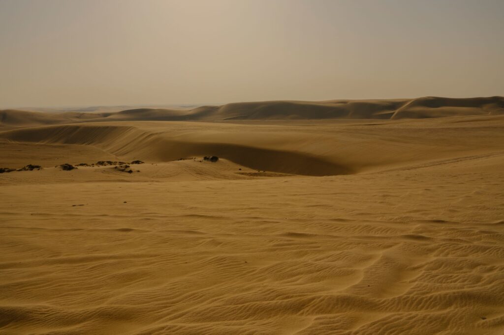 A serene view of expansive golden sand dunes under a sunny sky near Doha, Qatar.