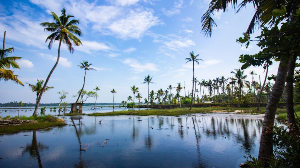 Tranquil tropical scene with palm trees by the calm water, under a vibrant blue sky.
