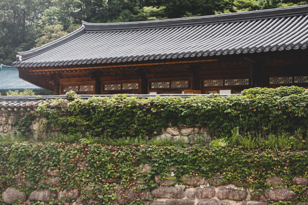 Traditional Korean temple with ivy-covered stone wall, serene nature setting.