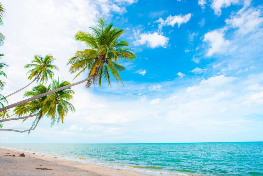 Stunning tropical beach with palm trees against a vivid blue sky, perfect summer getaway.