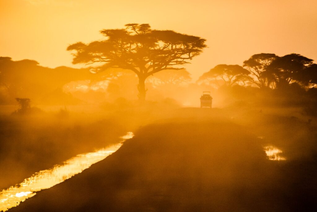 A lone car travels on a dirt road at sunset, silhouetted by Acacia trees in Kajiado, Kenya.