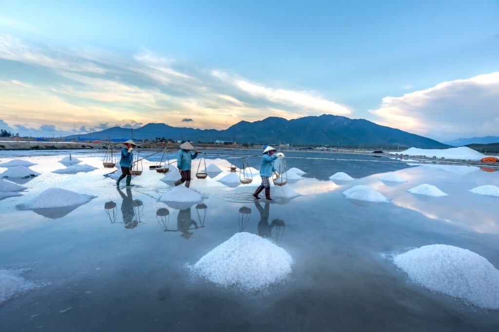 Salt farmers harvesting in a scenic Vietnamese salt field during a vibrant sunset.