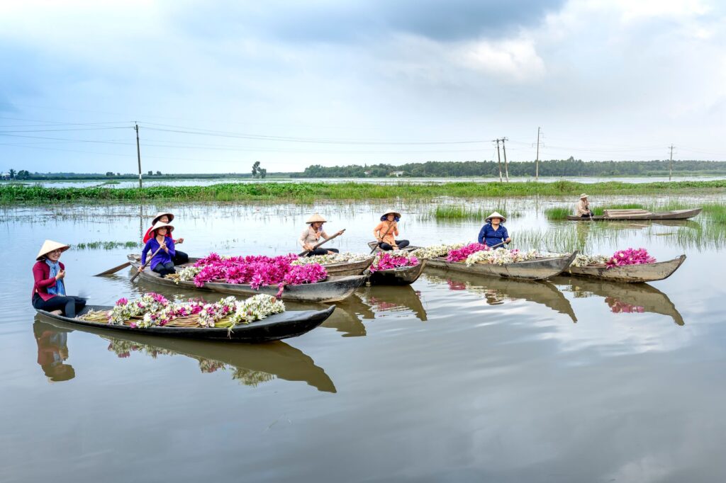 Women wearing conical hats paddle boats filled with flowers on a serene lake.