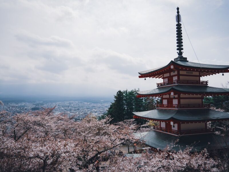 Beautiful view of Chureito Pagoda with cherry blossoms in full bloom, a classic spring scene in Japan.