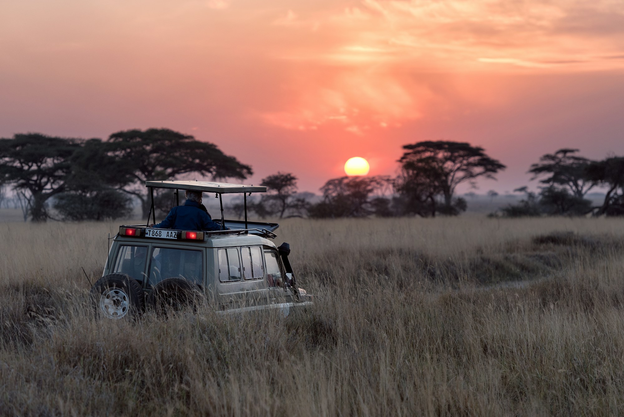 Elephants crossing the savannah beneath Kilimanjaro