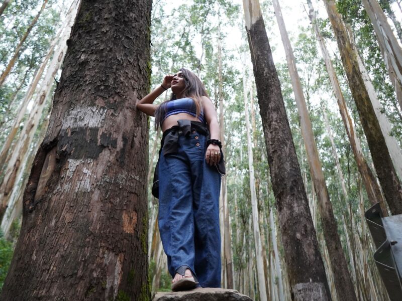 A young South Asian woman explores a lush eucalyptus forest in Ooty, India, standing confidently on a rock.